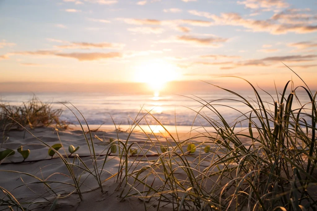 close up photo of beach at sunset, recovery