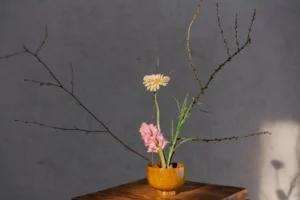 flowers symbolising coherence therapy