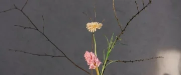 flowers symbolising coherence therapy